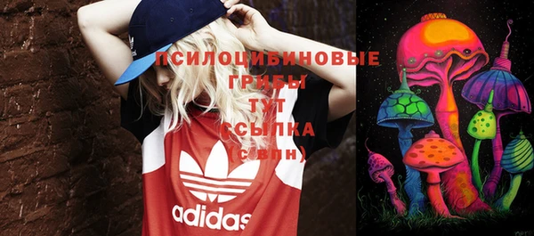 эйфоретик Армянск