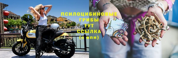 эйфоретик Алзамай