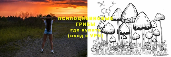 эйфоретик Армянск