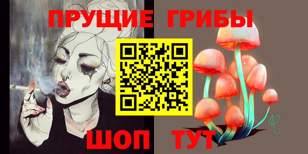 Галлюциногенные грибы Psilocybe  Вход с VPN  Набережные Челны 